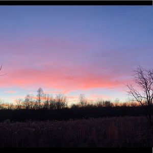 Meet your Posher, Ava